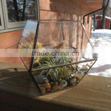 Simple Clear Glass Planter Terrarium photo-3