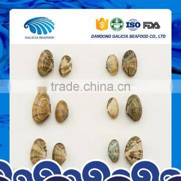 Frozen Boiled Shellfish Type Short Neck Clam