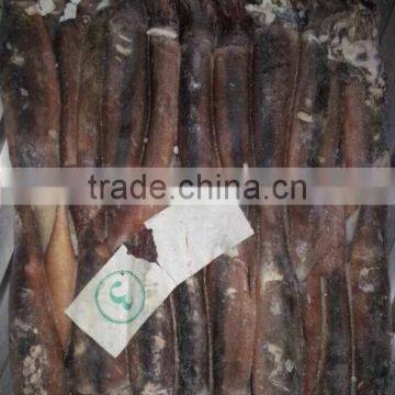 150-200g Frozen Illex Squid photo-5
