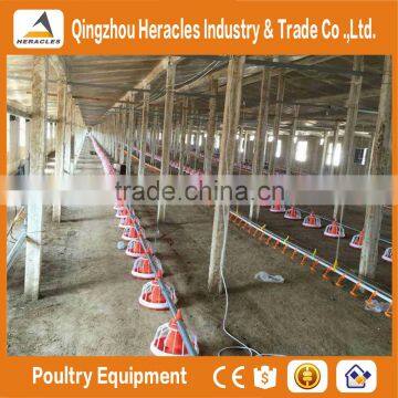 Heracles High Quality Cheap Poultry Chicken Poultry Farm Equipment for Sale photo-4
