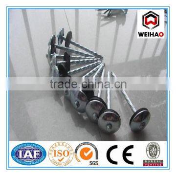 polished&HDG roofing felt nails with umrella head