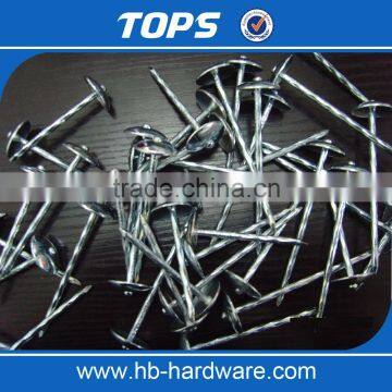 china Twisted/Smooth shank umbrella head roofing nails factory