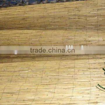 Reed Screen in Roll photo-3