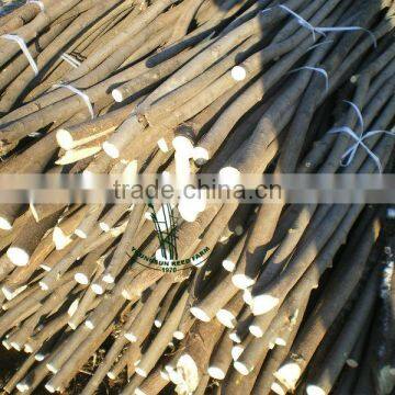 Willow Sticks photo-5