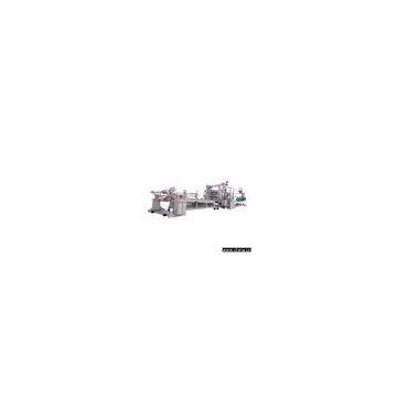 Sell Plastic Sheet Extrusion Line