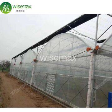 Hot Sale Single-Span Film greenhouse indoor