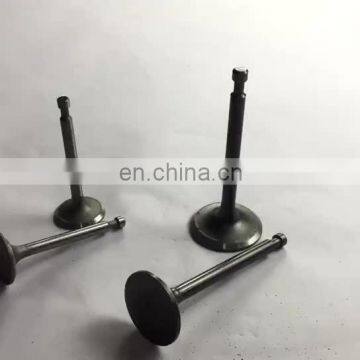 Gasoline Generator Parts 168F 170F  Inlet and Exhaust Valve Sets