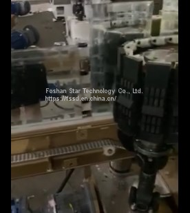 FSSD 9 Motors Glass Straight Line Beveling Machine Glass Processing Machine photo-3