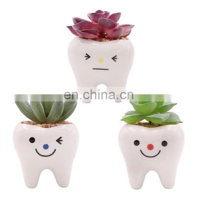 Fashion Garden Decor Succulent Planter Home And 2021 Guangdong Flower Pots Planters Potted Faux Plants Cute Tooth Shape Pot