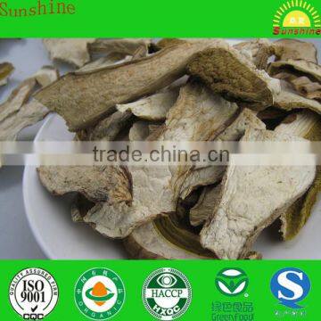 porcini dried mushroom