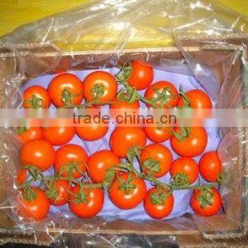 Clear Plastic Flat Bag Carton Liners 25 kg for Vegetables