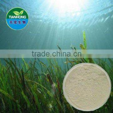 Pure Natural Seaweed Extract /fucoidin laminaran algin