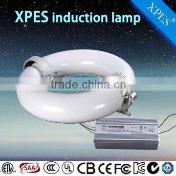 High efficiency good price induction lamps from 80watt to 400watt