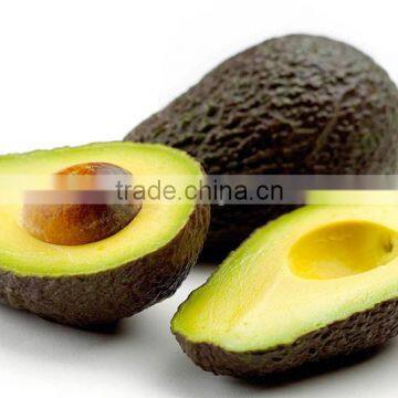 HASS AVOCADO FRESH FRUIT