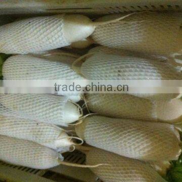 Sell 2014 new crop white radish/fresh radish/fresh white radish from Brother Kingdom