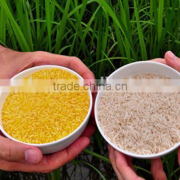 Artificial Rice Machine/Machinary/Processing Line/plant                        
                                                Quality Choice