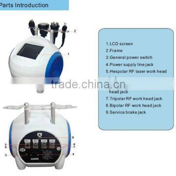 Ultrasonic Cavitation Slimming Machine 1MHz Keyword Beauty Slimming Machine 5 In 1 Cavitation Machine photo-3