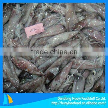 fresh frozen California squid