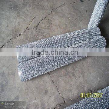 Best Quality 1/4 Inch Galvanized Chicken Wire Mesh photo-6
