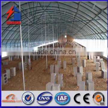 Steel structure prefab Poultry house and shed building