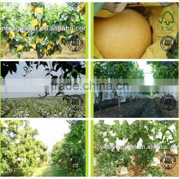 Water Proof Fruit Protection Paper bag