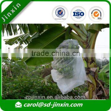Wholesale UV Treated Banana Protection Bag, Banana Sleeve, Banana Growing Protection Cover photo-3