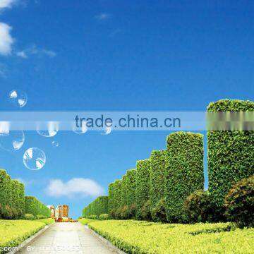 Artificial Lawn Grass Landscaping With Low Cost photo-2