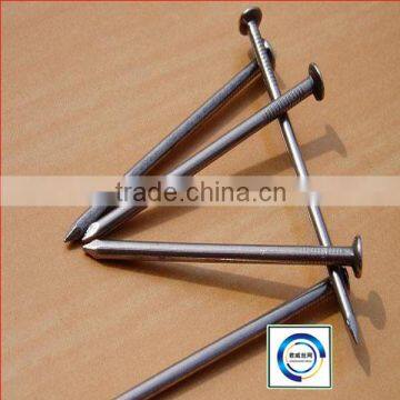 High Quality Common Nail From Factory