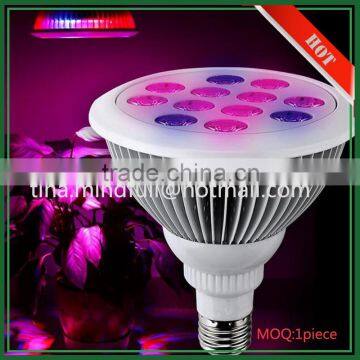 Wholesale High Quality OEM Spectrum 36W Outdoor Plant Light photo-3