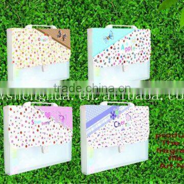 pp file case / a 4 pp file folder /plastic document bag