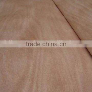 poplar veneer in good quality