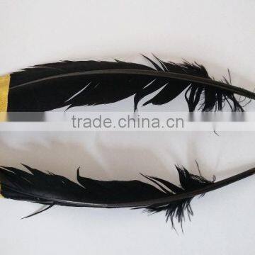 Turkey Quills 10-12''