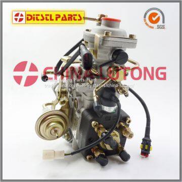 Hot Sell Diesel Fuel Engine Parts ADS-VE4/11E1600R015 Pump NJ-VE4/11E1600R015 VE Pump Manufacturer photo-3