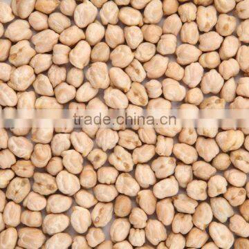 Buy 9mm Chickpeas