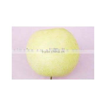 Huangguan Pear/ Crown pear / Golden pear