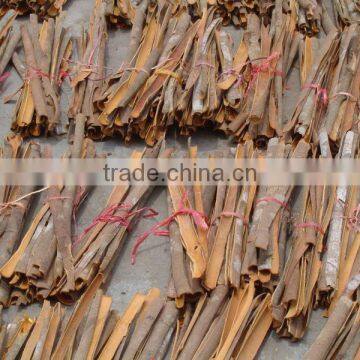 Cassia split best quality