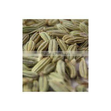 PURCHASE CUMIN SEEDS