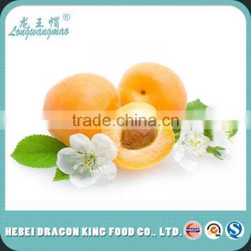 Hot Sale Bitter and Sweet Organic Apricot Nut for Snack and Beverage photo-6