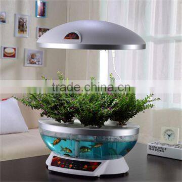 Garra Rufa Fish Aquarium photo-6