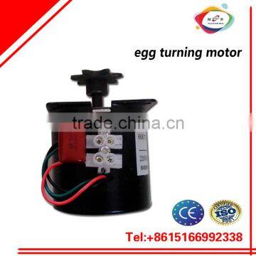 Egg Turnning Motor Tray Motor Automatic Incubator Spare Parts