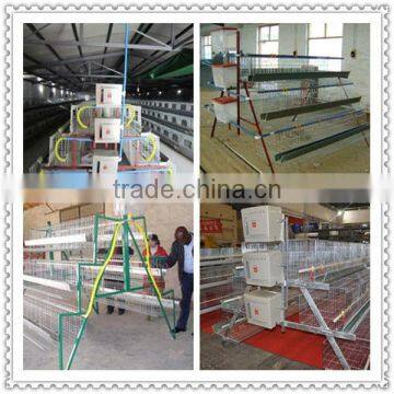 Hot sale chicken transport cage high quality saled well