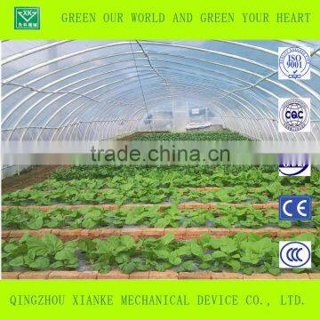 Multi-Span Commercial Fiberglass Greenhouses photo-3