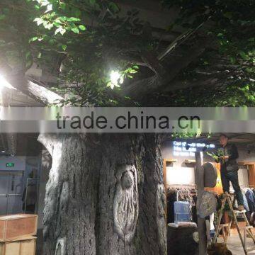 Derorative Ficus Tree photo-2