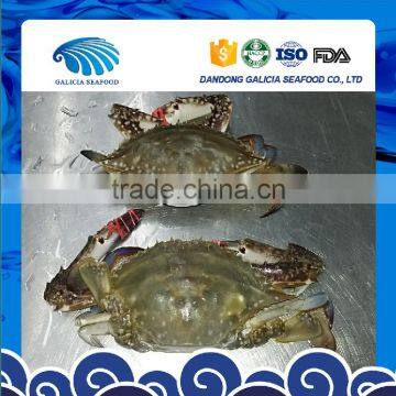 BQF Half-Cut Male Crabs