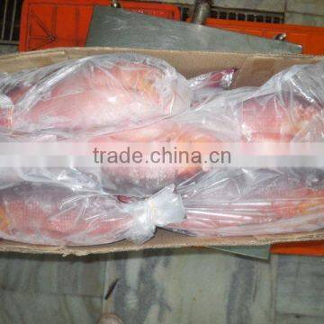 Frozen Red Snapper Whole photo-5