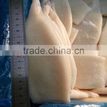 Frozen Fresh New Produced U5 Squid Tube photo-2