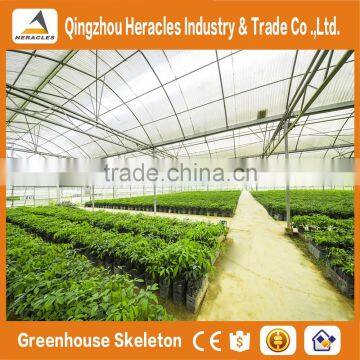 Heracles Trade Assurance Agricultural Greenhouse for Tomato photo-6