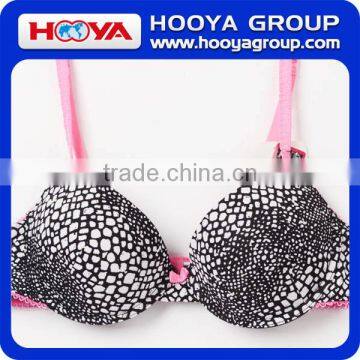 2016 Latest Sexy Design Net Bra Ladies Bra And Panties photo-2