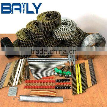 Baily Metal Products Supply High Quality Coil Nails and Bulk for Sale Oversea Market photo-3