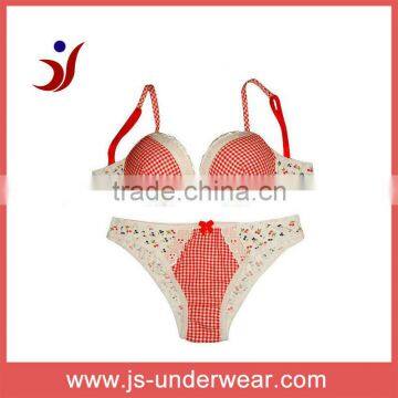 Comfortable Girls Cute bra and panty set with cherry printing new design (accept OEM)